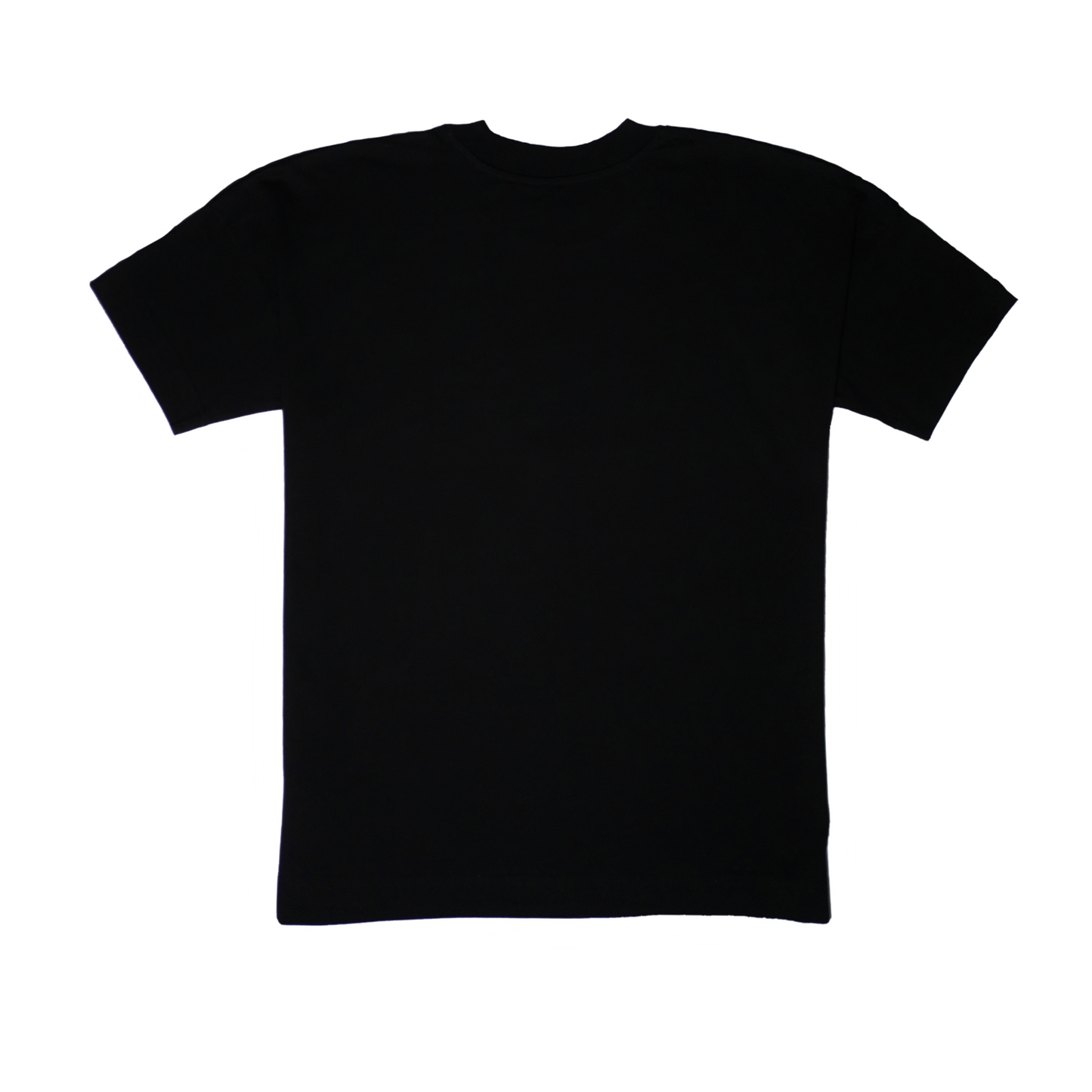 T-Shirt MISSING NO. (oversize)